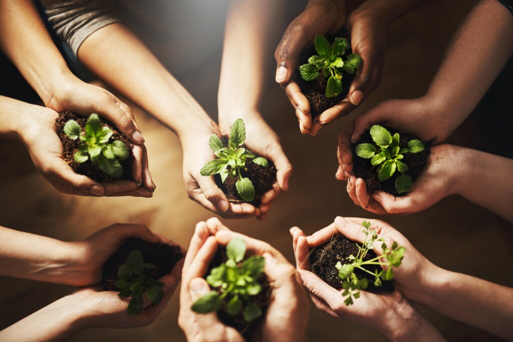 lots of hands holding saplings