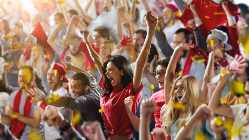 Fans cheering for their team